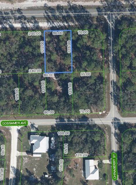 3226 Lake June Boulevard - Photo 1