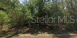 8545 Wallingford Avenue - Photo 1