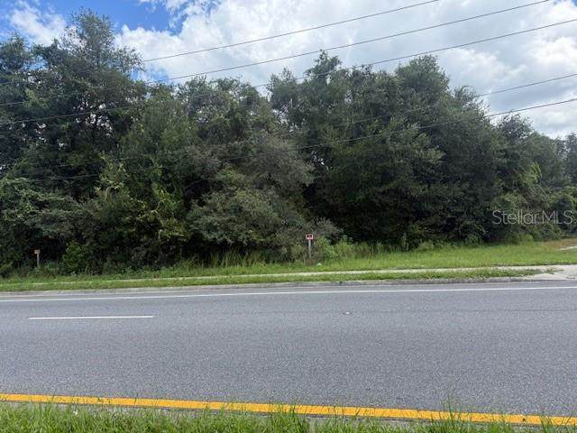 3101 Goldenrod Road - Photo 1