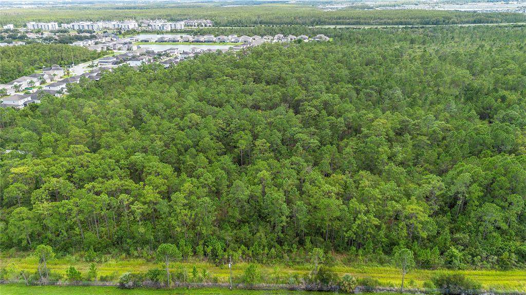 S Apopka Vineland Road - Photo 1