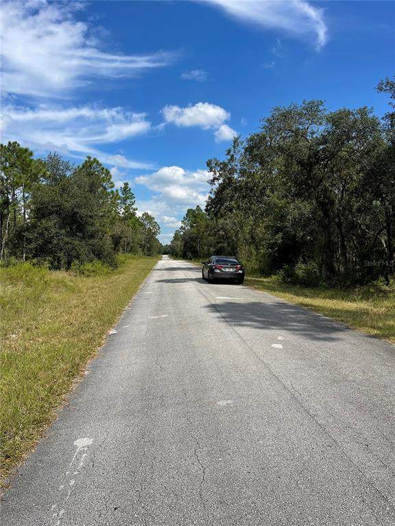 00 Blue Berry Lane - Photo 1