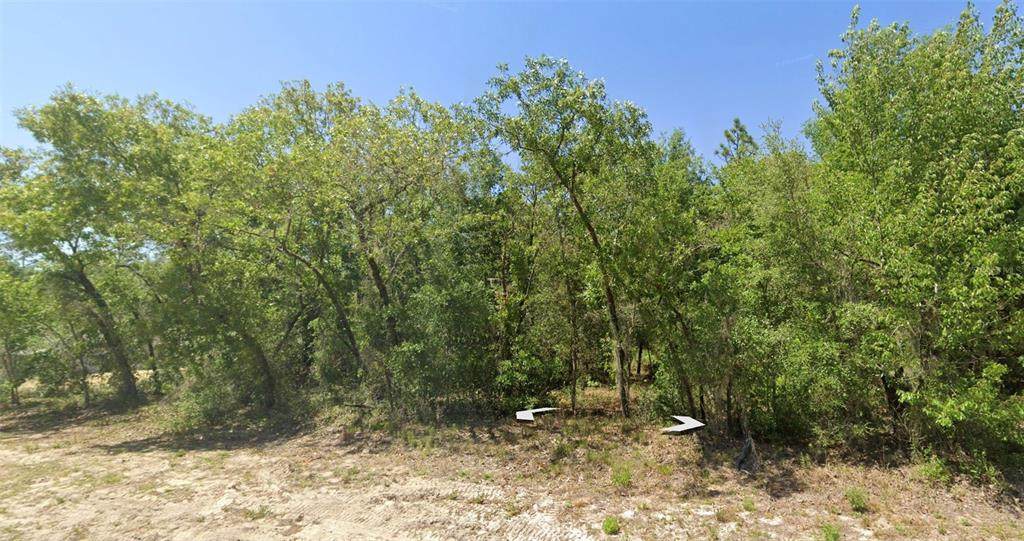  Rainbow Lakes Blvd - Photo 1