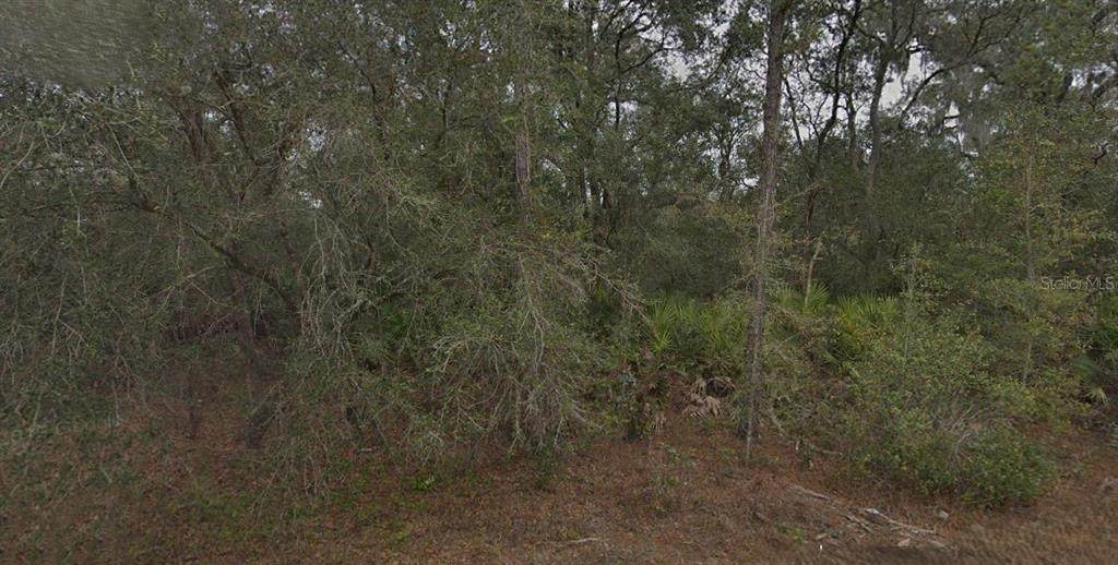 130 & 132 Bream Drive - Photo 1