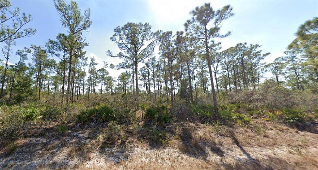 3334 Barn Swallow Avenue - Photo 1