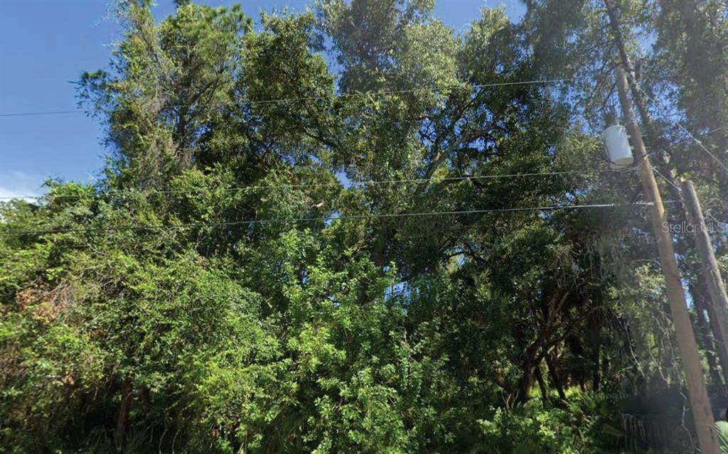  Trentwood Lane - Photo 1