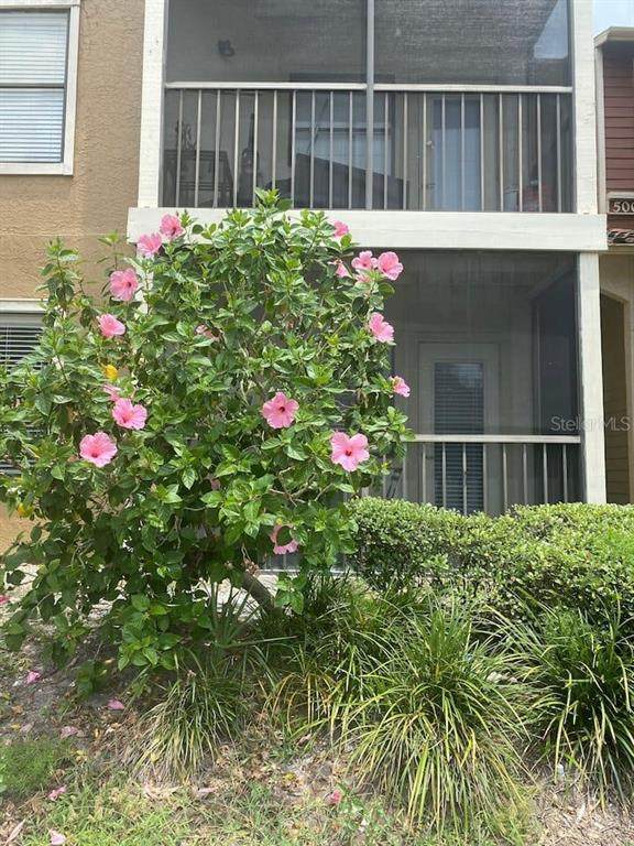 11901 4TH Street - Photo 1