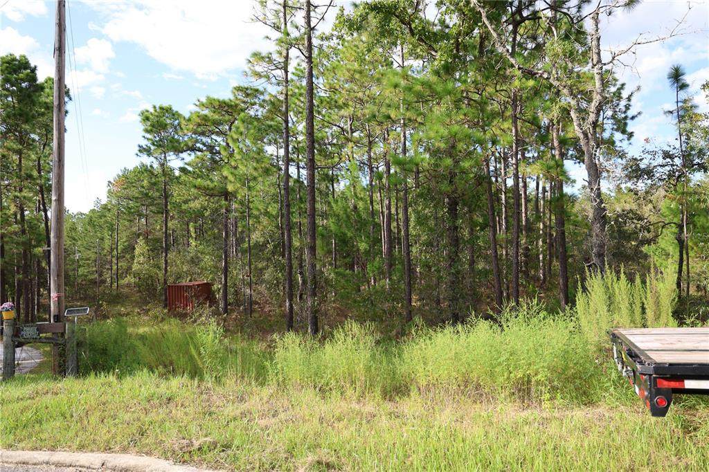 403 Melrose Landing - Photo 1