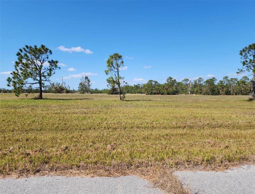 14108 Tilefish Court - Photo 1