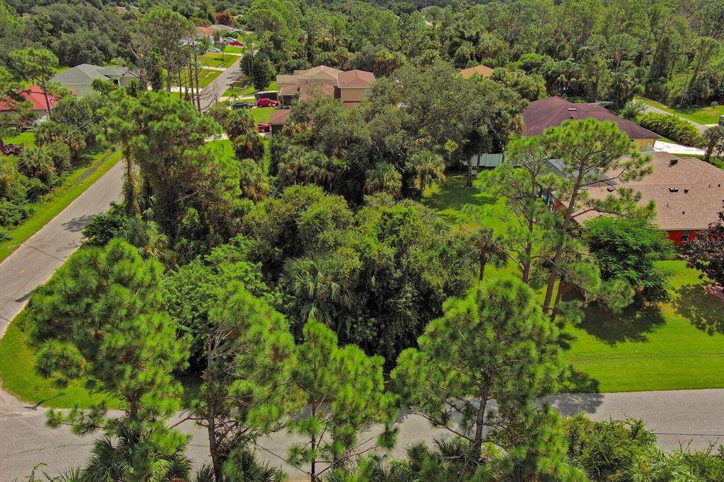  Volger Lane - Photo 1