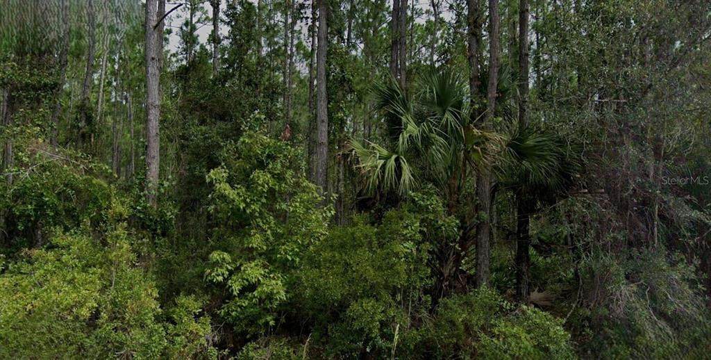  Song Sparrow Street - Photo 1