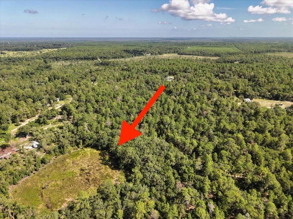 229 Arkansas Street - Photo 1