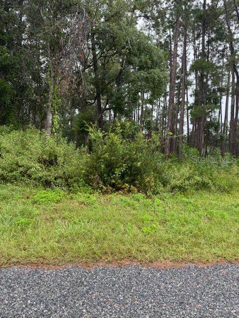 1476 6TH Avenue - Photo 1