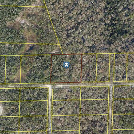  Rose Bloom Ave - Photo 1