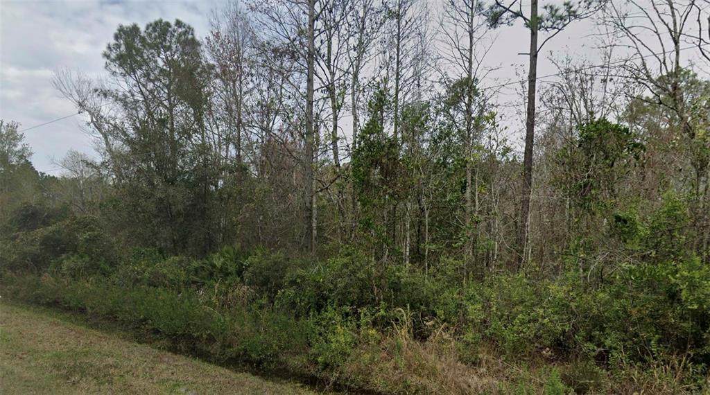 4260 Benedict Street - Photo 1