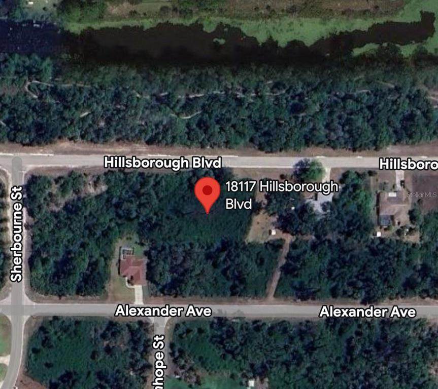 18117 Hillsborough Boulevard - Photo 1