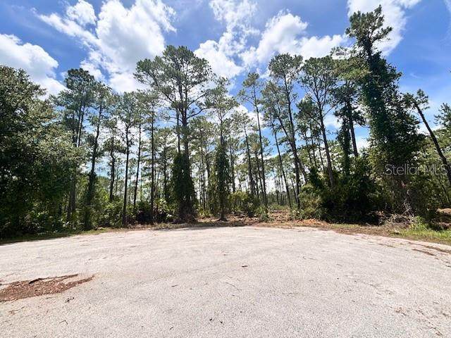  Chinaberry Way - Photo 1