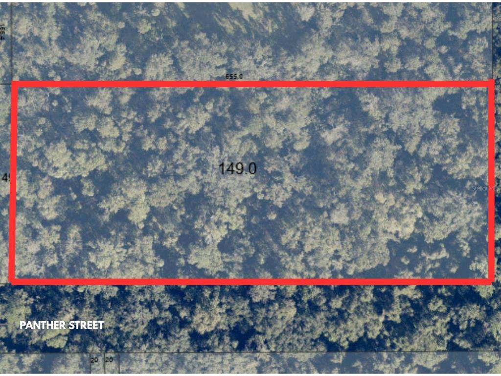  Panther Street - Photo 1