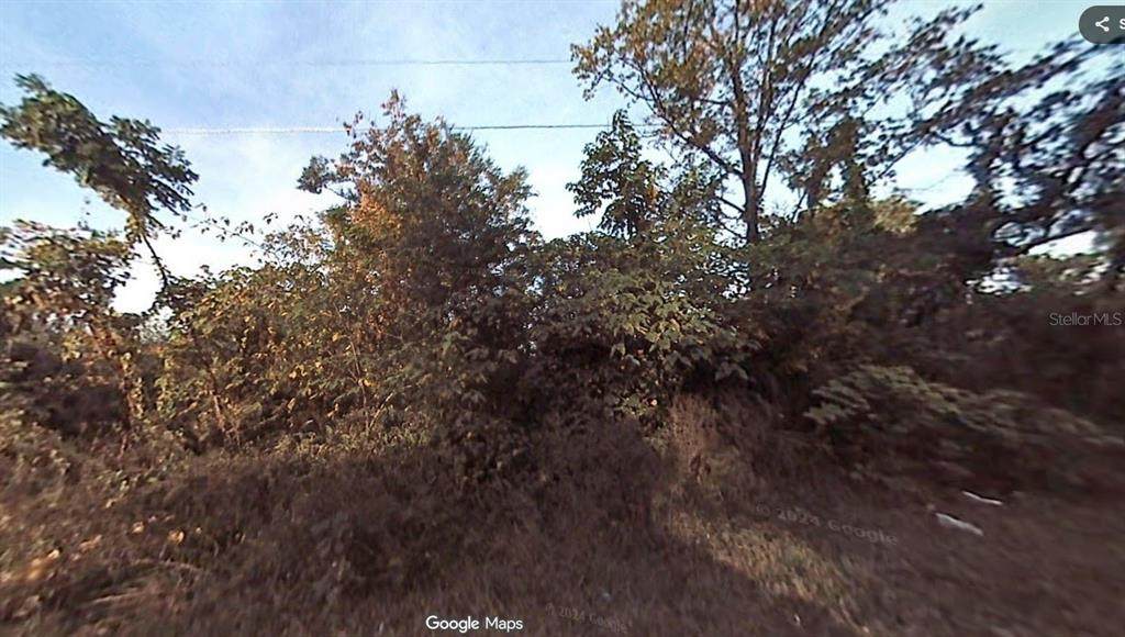 1302 Delaware Avenue - Photo 1