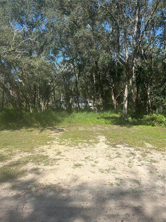  Calamondin Street - Photo 1