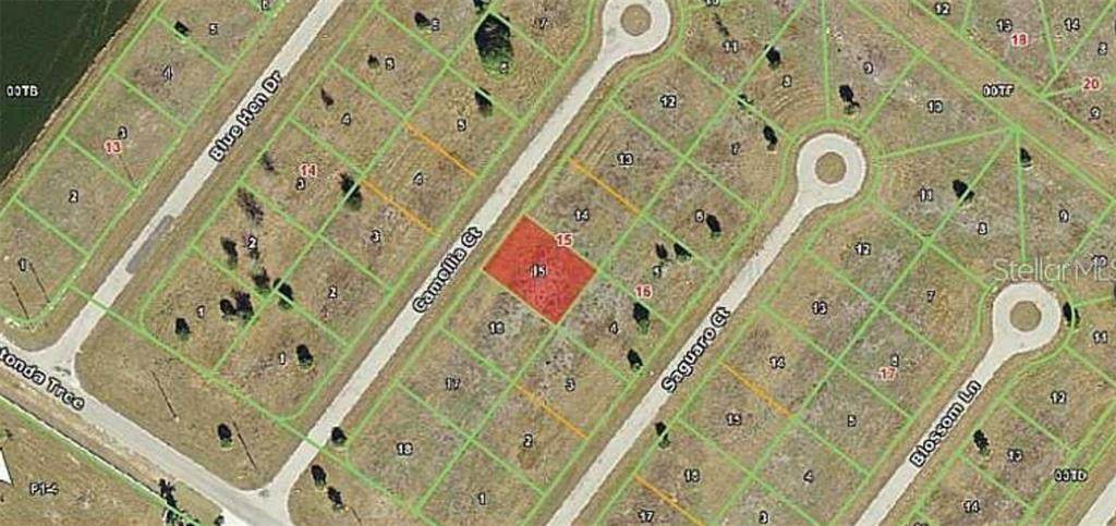 8 Camellia Court - Photo 1