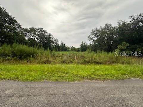 207 Starling Court - Photo 1