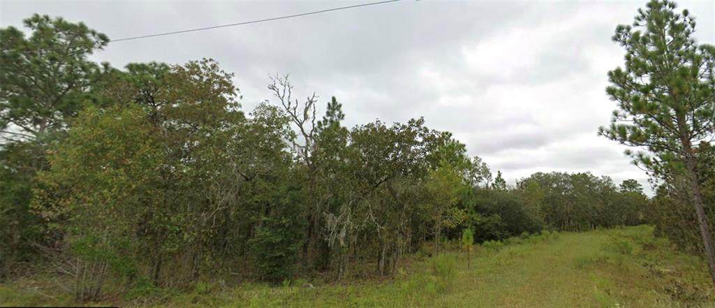  151 Terrace - Photo 1