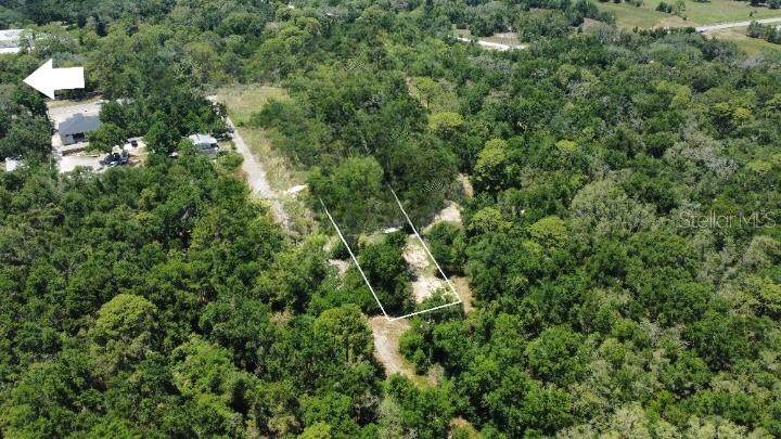 17308 Putter Lane - Photo 1