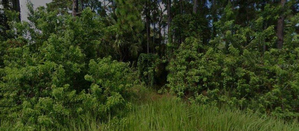 447 Trumpet Street - Photo 1