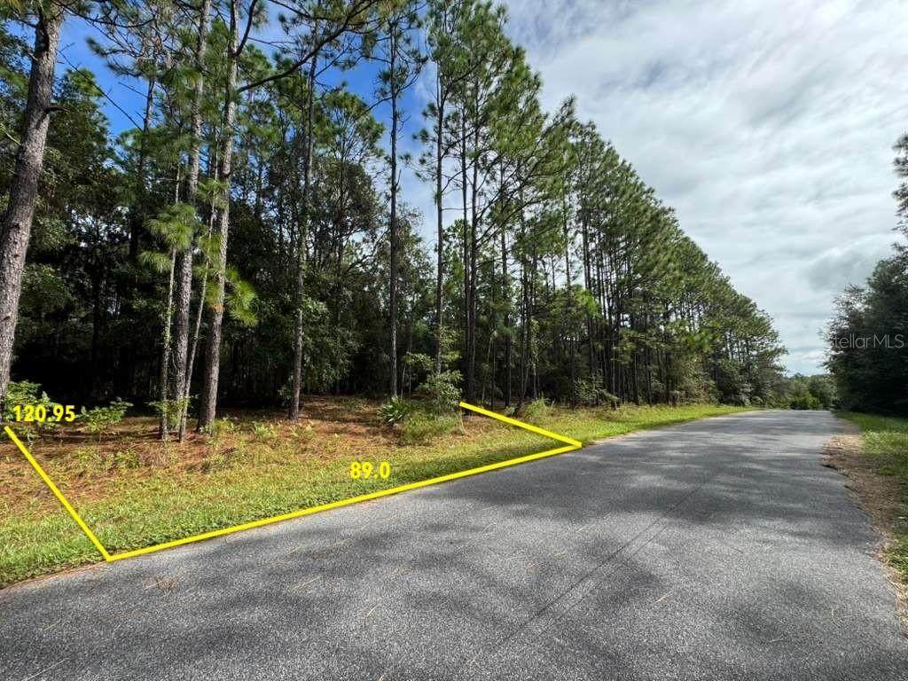 899 Bannister Drive - Photo 1