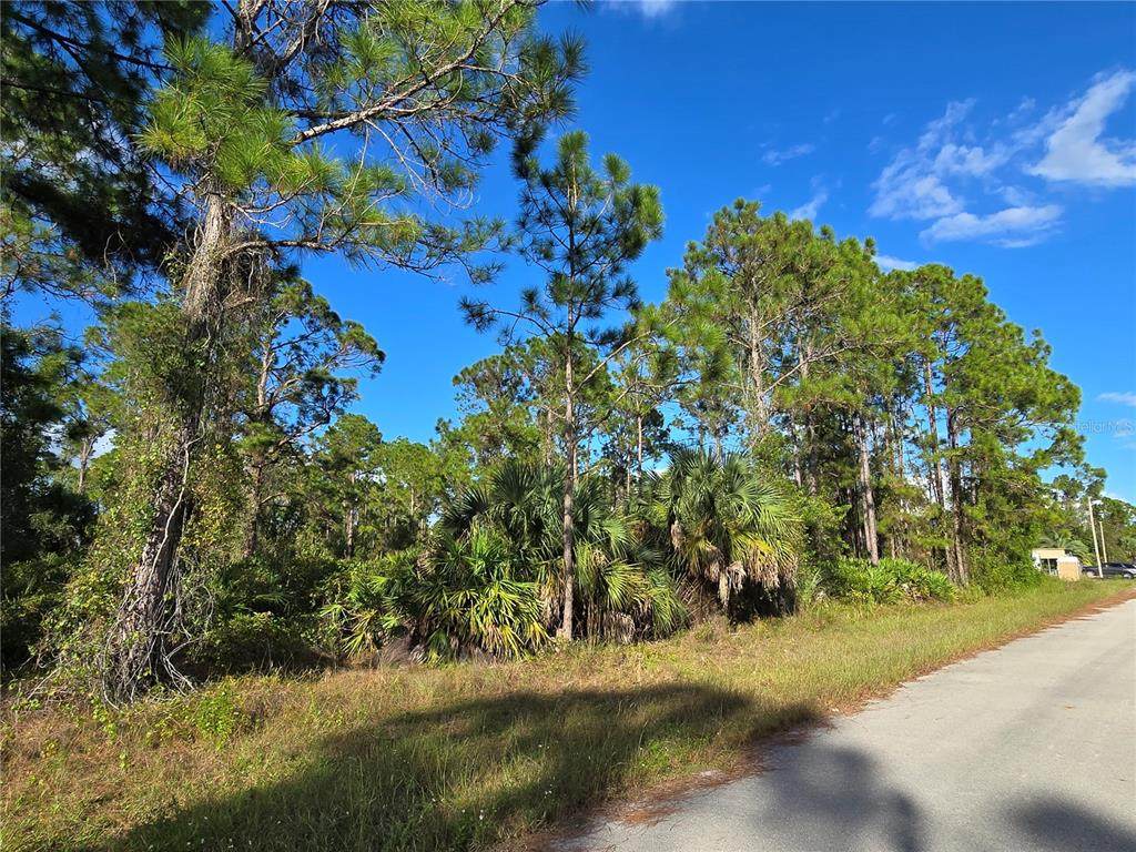 1137 Rambler Street - Photo 1