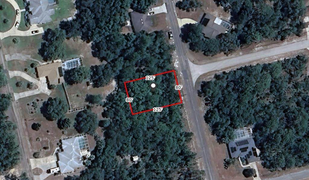 7150 Maltese Drive - Photo 1