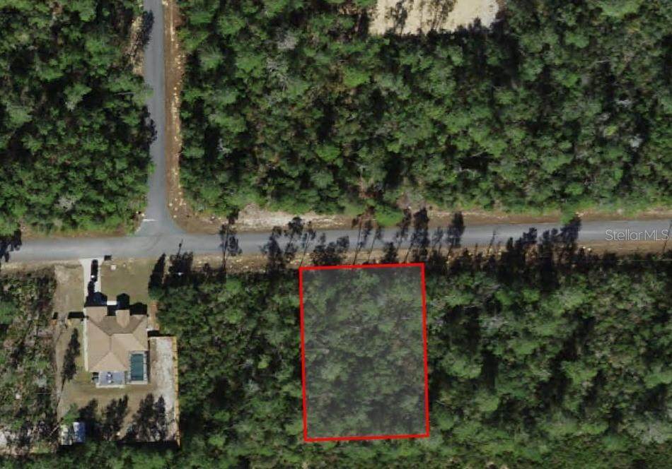 4354 Findlay Street - Photo 1