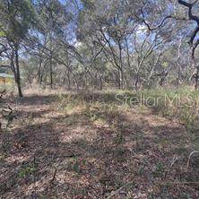 7377 Knoxville Drive - Photo 1