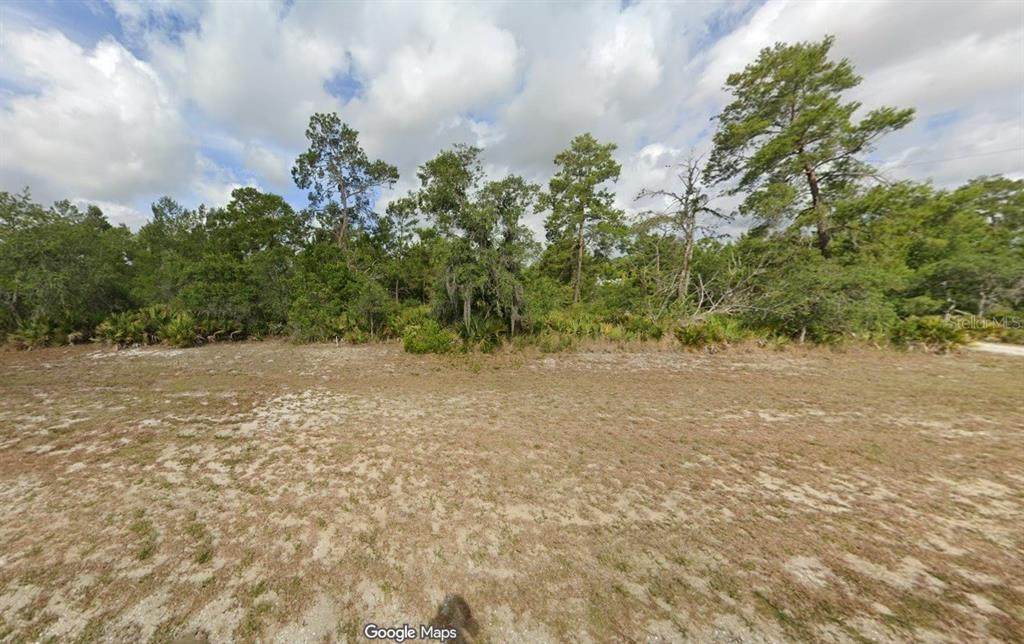 10605 Orange Blossom Boulevard - Photo 1