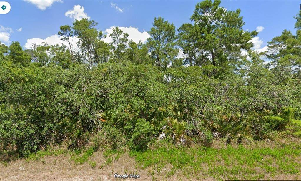 2912 Lake Josephine Drive - Photo 1