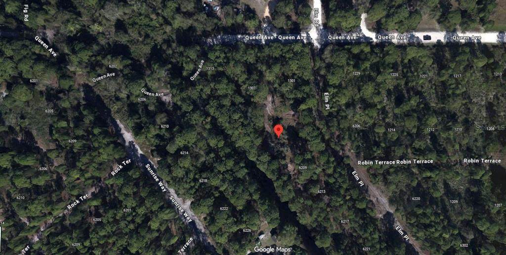 6205 Elm Place - Photo 1