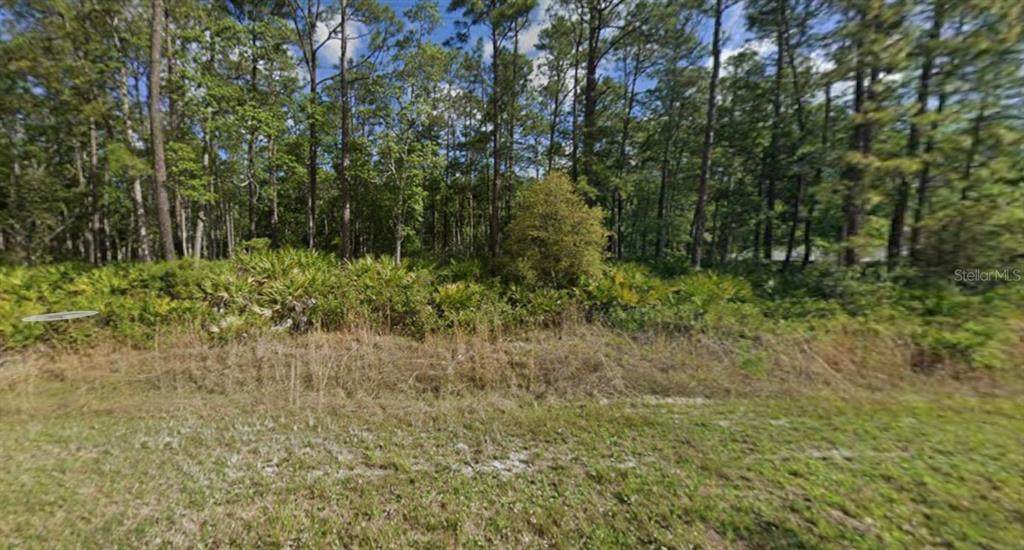 608 Hickory Nut Trail - Photo 1