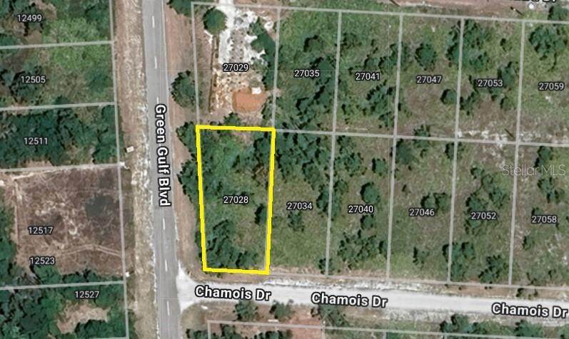 27028 Chamois Drive - Photo 1