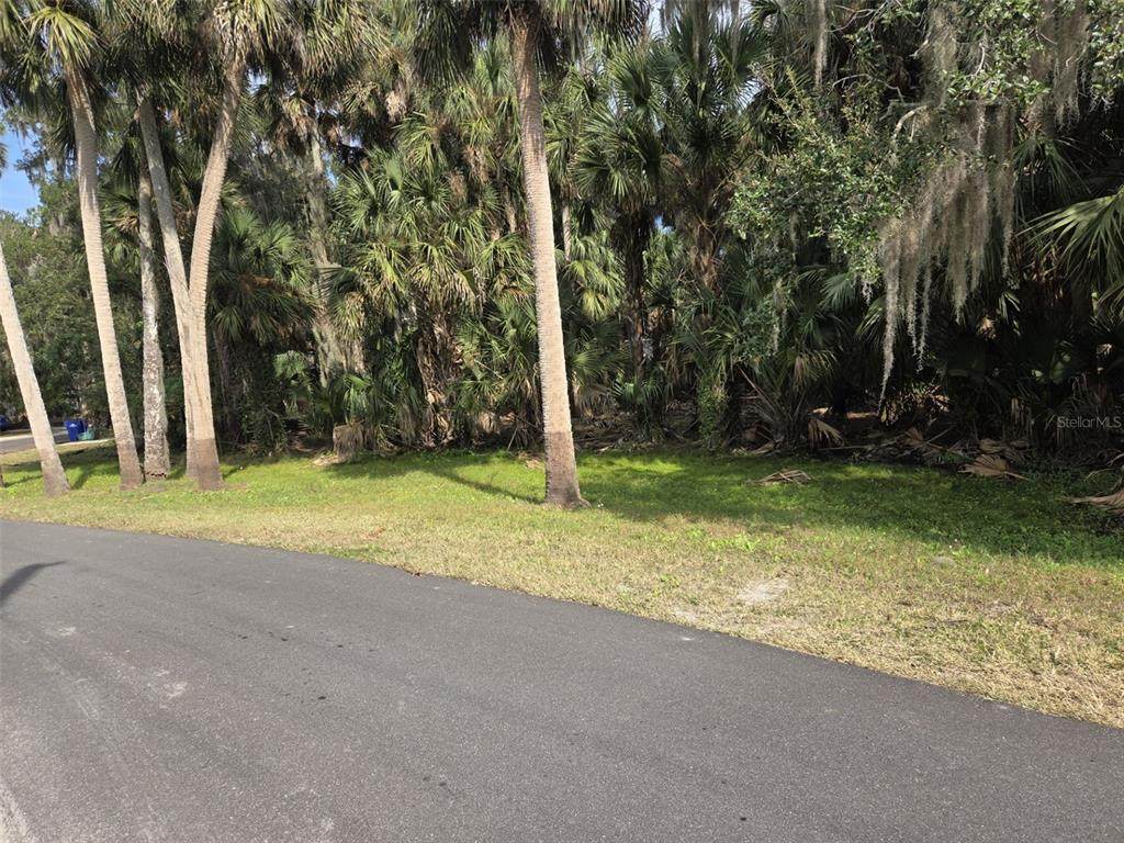 447 Warrior Trail - Photo 1