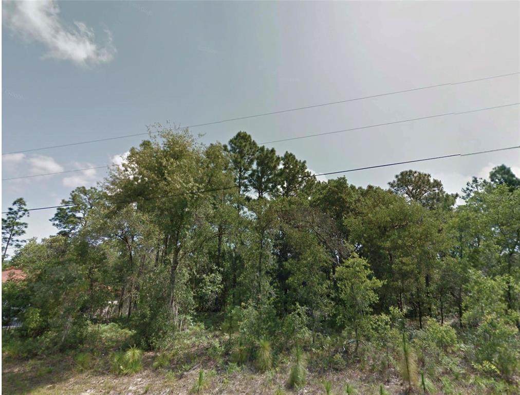 8383 Manuetta Drive - Photo 1