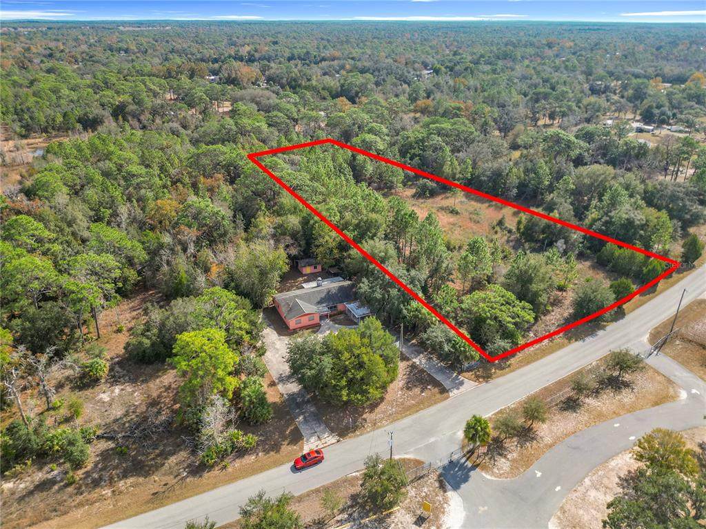 6397 Lewdingar Drive - Photo 1