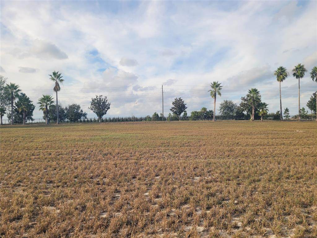 7425 Jasmine Street - Photo 1