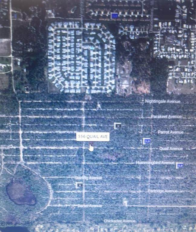 556 Quail Avenue - Photo 1