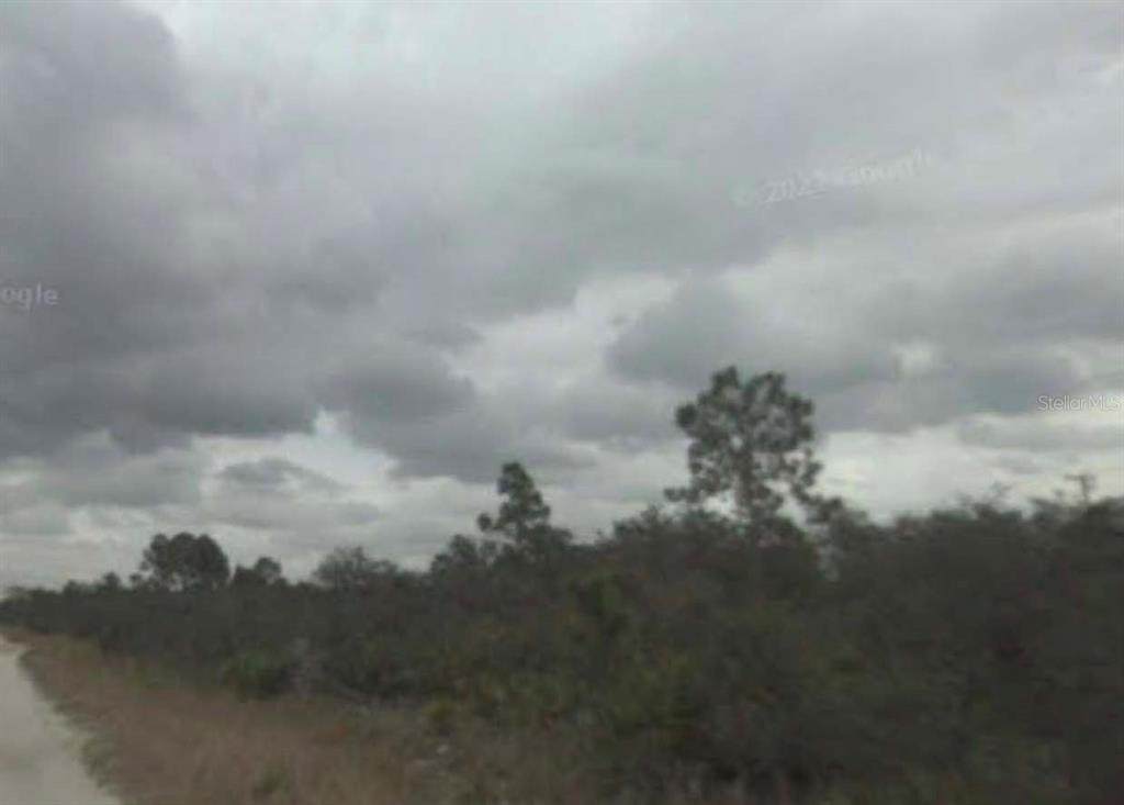 1730 Barn Owl Street - Photo 1