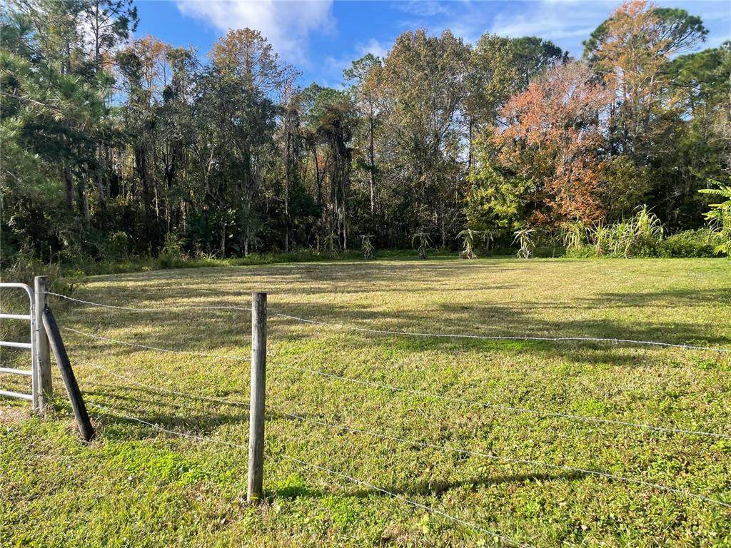 10548 Flowers Avenue - Photo 1