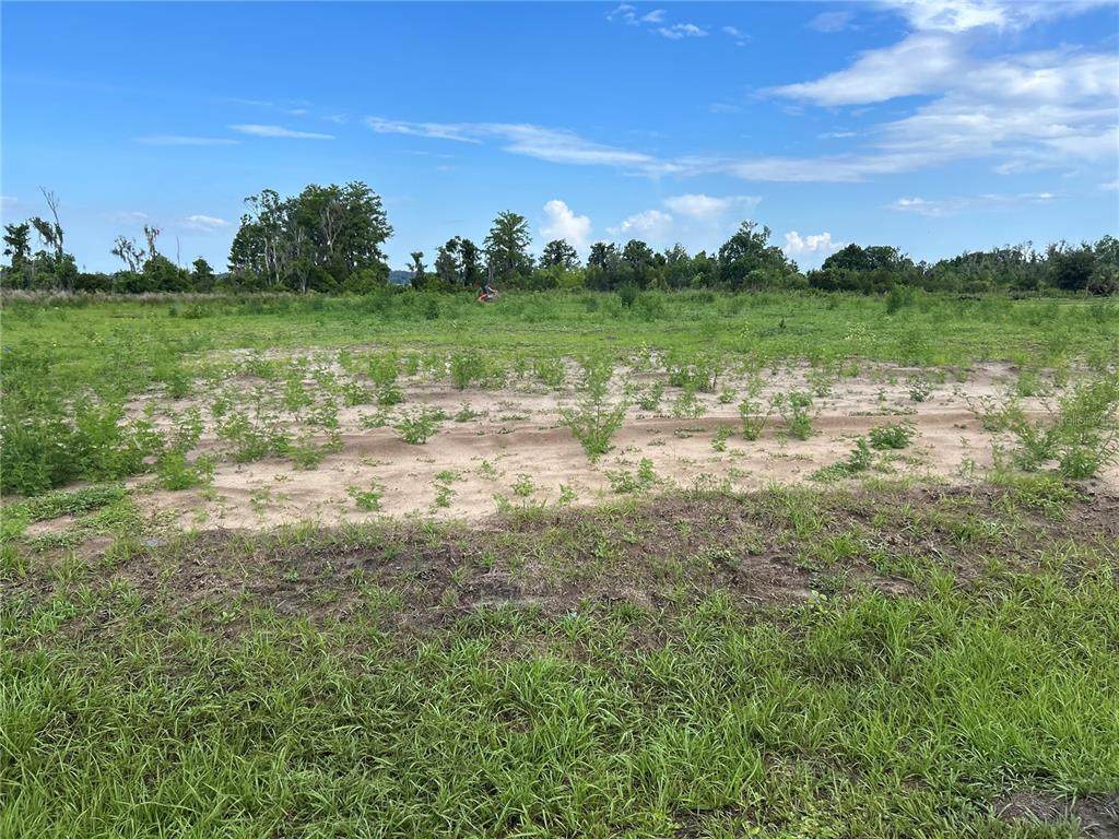 12942 Stillwater Cove Drive - Photo 1