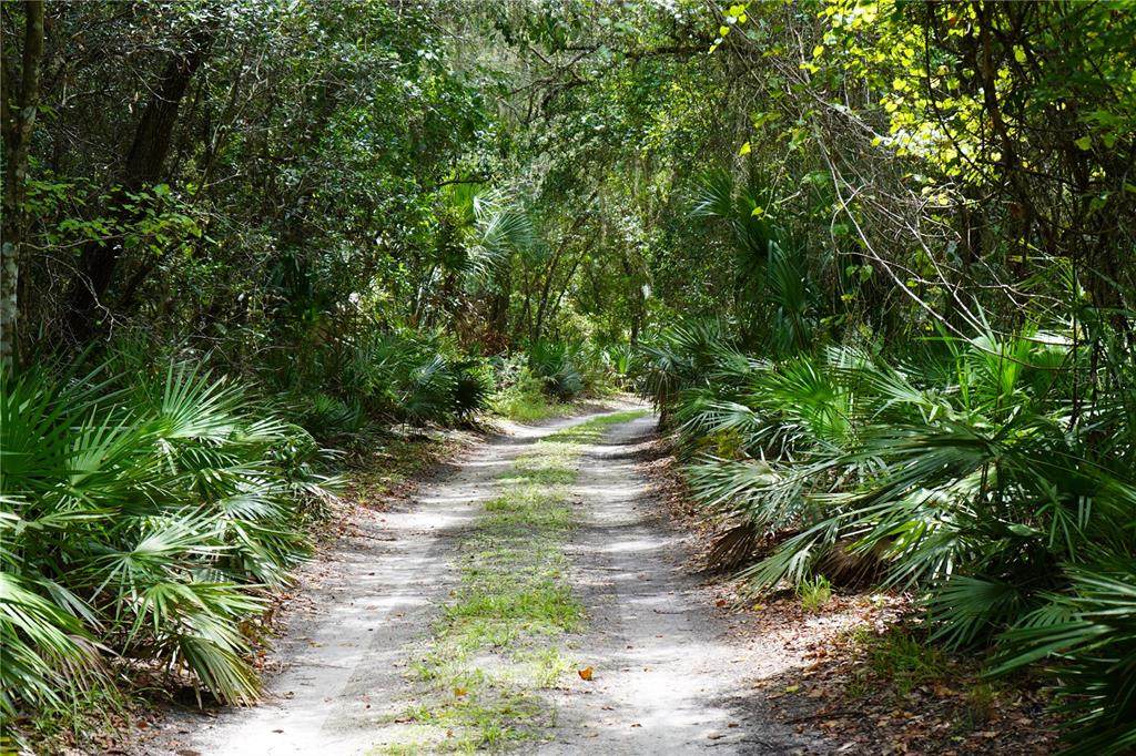 2288 Enterprise Osteen Road - Photo 1