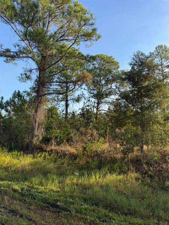 8024 Cabo Drive - Photo 1