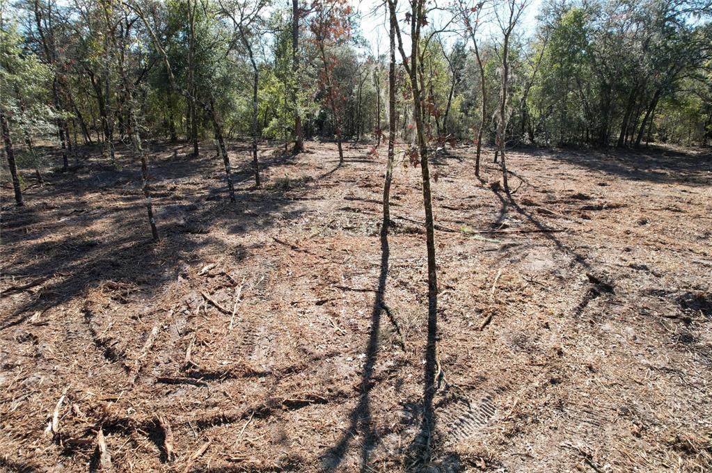  116TH Street - Photo 1