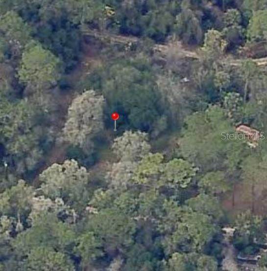 18901 93RD Street - Photo 1